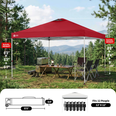 Tonnelle One-Push Max 12' x 12'